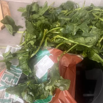 Migros Hemen'den Gelen Çürük Ispanak Paketi İçin İade Talebi