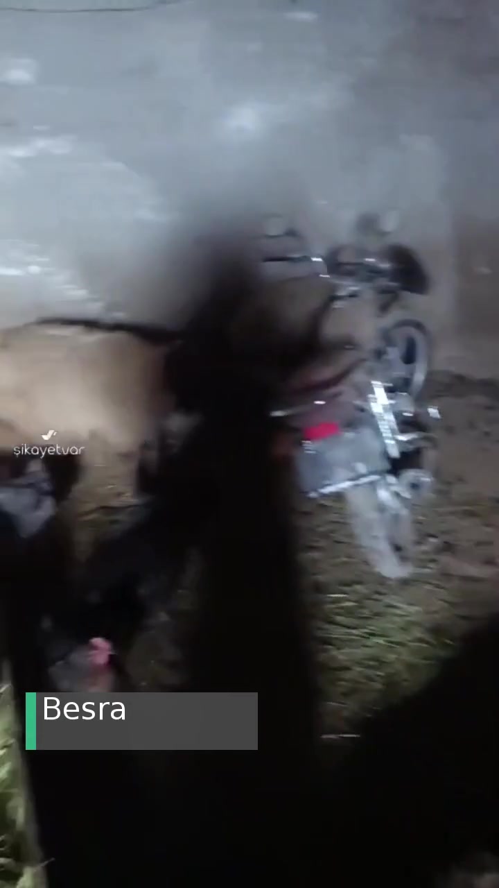 Her Gün Hayvanlarım Ölüyor Sebebi İse Çiçek Hastalığı, Çözüm Yok! videonun kapak resmi