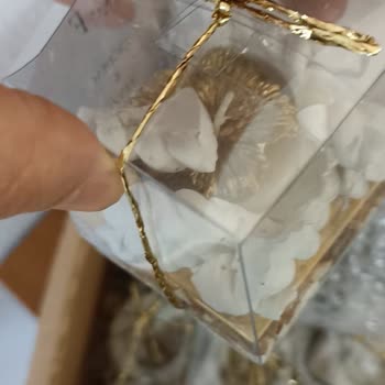 Mio Design'dan Kırık Mumluk Ve İade Talebi