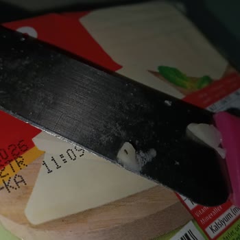Ekici Peynir Peynir İçinden Yabancı Madde Çıkması