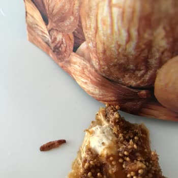 Kuru İncirde Kurt Sorunu Ve Sağlık Riski