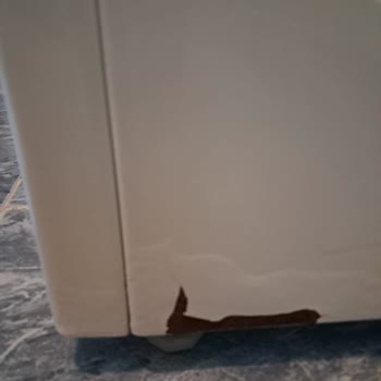 Siemens Ev Aletleri Kasadaki Boya Soyulması Ve Garanti Servisindeki Uzun Bekleme