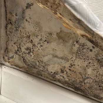 Emlak Konut Dairesinde Balkon Su Sızıntısı Ve Rutubet Sorunu