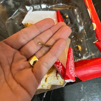 Lezita Dönerde Bulunan Sert Yabancı Madde Sağlık Riski Oluşturdu