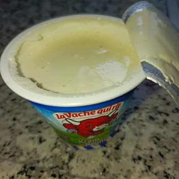 Saklı Ambalajda Böcek Ve Yabancı Madde: La Vache Qui Rit Krem Peyniri Hijyen Sorunu