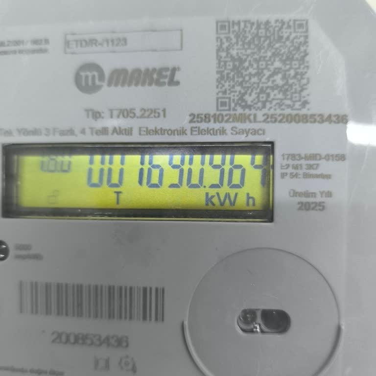 Usulsüz Elektrik Kullanımı Gerekçesiyle 300 Bin TL’lik Aşırı Ceza Ve İcra Takibi