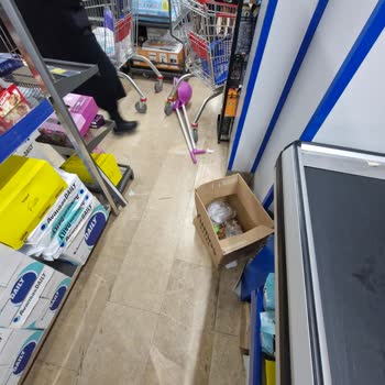 Ayazağa BİM Şubesinde Kedi Ve Temizlik Sorunları Müşterileri Rahatsız Ediyor