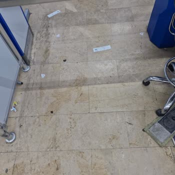 Ayazağa BİM Şubesinde Kedi Ve Temizlik Sorunları Müşterileri Rahatsız Ediyor