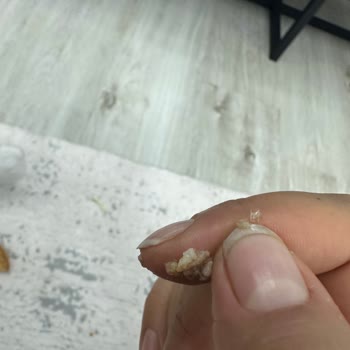 Burger King Hamburgerinde Cam Parçası Bulunması Çocuk Sağlığını Tehdit Ediyor