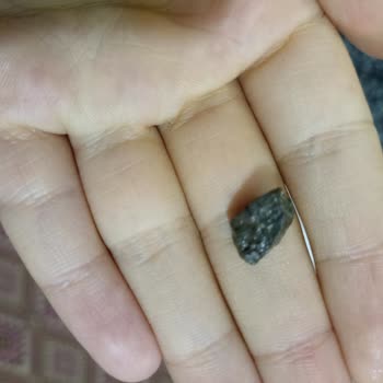 Fıçı Biberiye Turşusunda Taş Riski: Üretim Kontrolü Yetersiz