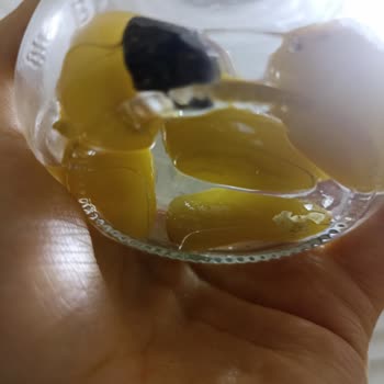 Fıçı Biberiye Turşusunda Taş Riski: Üretim Kontrolü Yetersiz