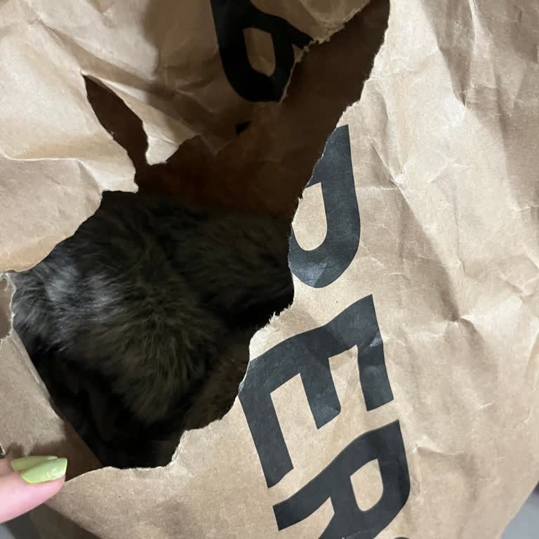 UPS Paketi Yırtarak Açması Ve Mahremiyet İhlali