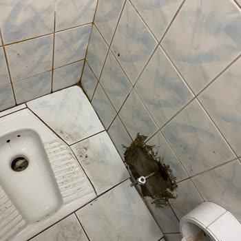 Okul Tuvaletlerinde Hijyen İhmalı Ve Mahremiyet İhlali