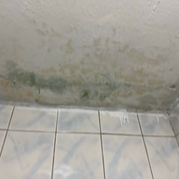 Okul Tuvaletlerinde Hijyen İhmalı Ve Mahremiyet İhlali