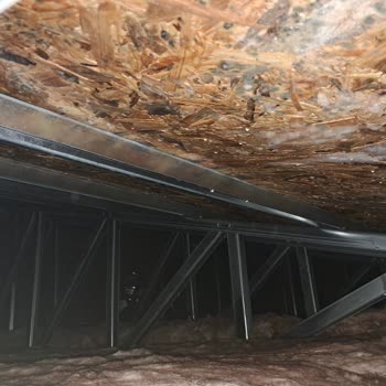 Prefabrik Evde Aşırı Terleme Ve OSB Zararları Garantiyi Yetmez Kılıyor