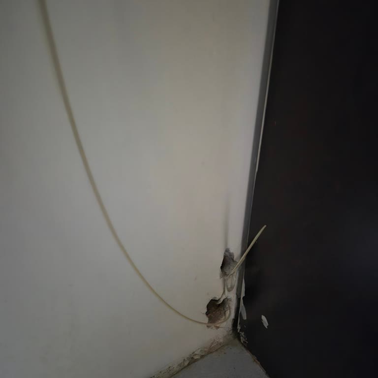 Turkcell Personelinin Kestiği Kablo Ve Yanıltıcı Sözleriyle Bir Ay Süre İnternetsiz Bırakılması