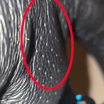 Mekanik Kusurlu Logitech G29 Ürünü İçin Teknik İnceleme Ve İade Talebinin Reddedilmesi