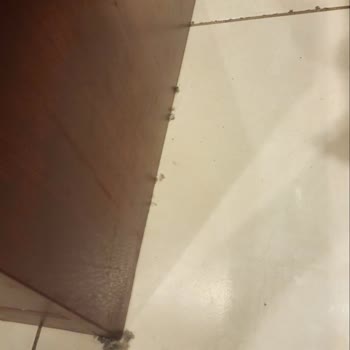 Toprak Turizm | İstanbul Hijyen ve Rehberlik Konusunda Sorunlar Yaşadık