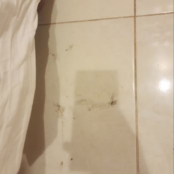 Toprak Turizm | İstanbul Hijyen ve Rehberlik Konusunda Sorunlar Yaşadık