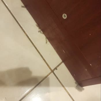 Toprak Turizm | İstanbul Hijyen ve Rehberlik Konusunda Sorunlar Yaşadık