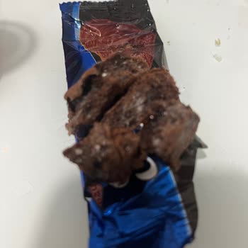 Saray Bisküvi Çikolatalı Kekin Küflü Çıkması