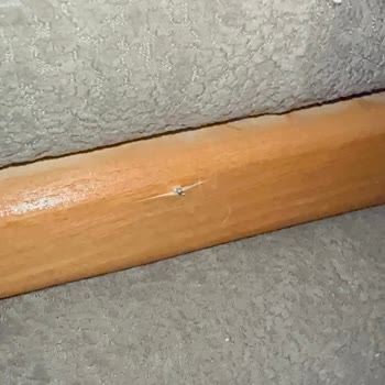 Niron Yatak Defolu Koltuk Takımı Ve Çocuk Yaralanması Sonrası Ücret Farkı Talebi