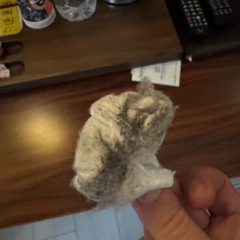 Otelin Temizlik Ve Asansör Sorunları Konaklamayı Tehlikeye Atıyor