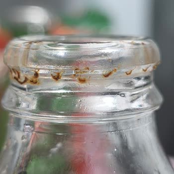 Paslı Şişe Kapakları Ve Ağızları Nedeniyle Sağlık Endişesi