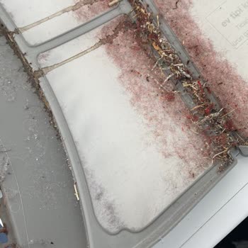 Özel Servis (444 81 66) Beyaz Eşya Servisi Şikayeti