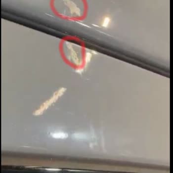Hyundai Motor Akbak'tan Sıfır Araçta Kuş Dışkısı Nedeniyle Boya Yanıkları Ve Atması