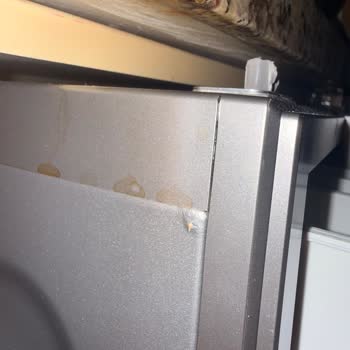 Arçelik Çamaşır Makinesinin Paslanma Ve Boya Soyulması Sorunu: Ayıplı Ürün Değişimi Talebi