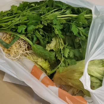 Migros Hemen Malatya’da Ezilmiş Sebzeler Ve Eksik Diş Macunu Şikayeti