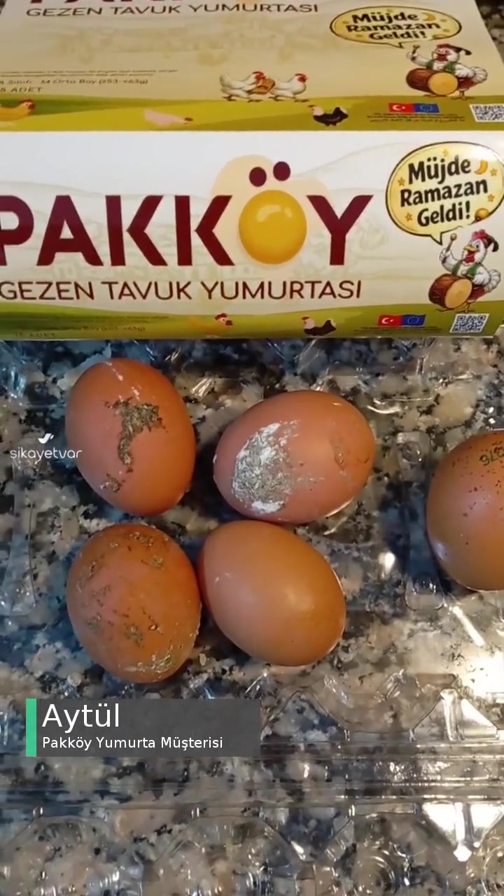 Pakköy Yumurta Galiba İnşaat Alanında Gezen Tavuklar videonun kapak resmi