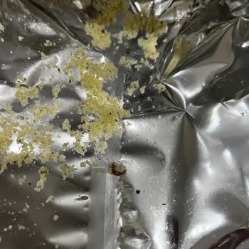 Harras Nohut Cipsinde Ölü Kurt Bulunması Ve Güven Sorunu