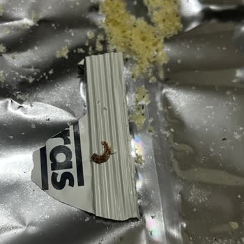 Harras Nohut Cipsinde Ölü Kurt Bulunması Ve Güven Sorunu