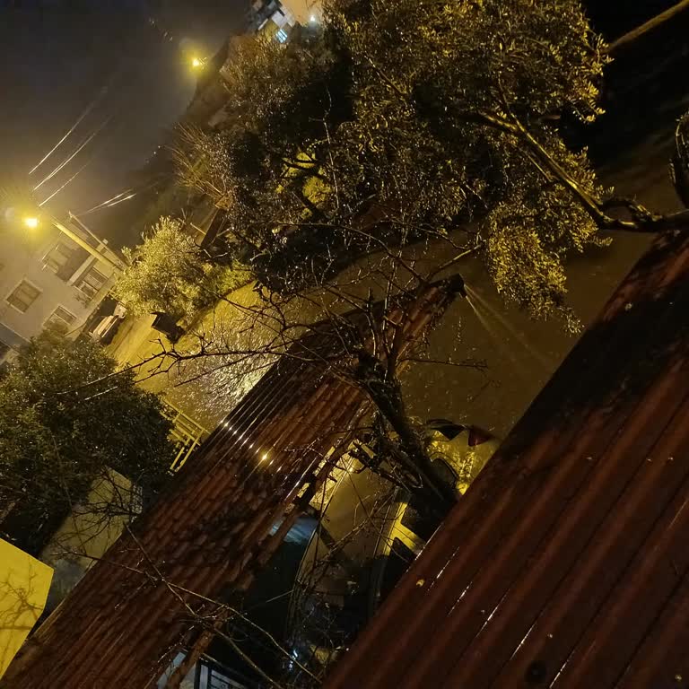 Sarıpınar Mahallesi 1091. Sokakta Sürekli Su Basması Ve Yeni Drenaj Talebi