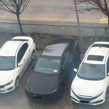 Tesla Auto Park Failed to Detect an Obstacle and Caused a Collision