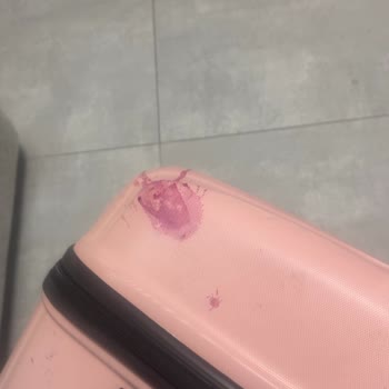 Anadolu Jet'ten Kırık Ve Kirli Valiz İçin Sorumluluk Reddi Ve Form Gönderim Hatası