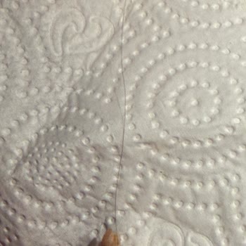 Pizza İçinde Kocaman Saç Kılı Buldum, Firmadan Gülünç Yanıt