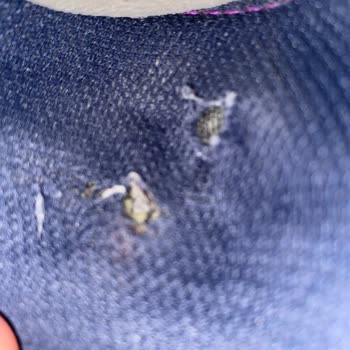 House Of SuperStep Mağazasındaki New Balance Ayakkabısının Üretim Hatası Ve İzinsiz İkinci İnceleme