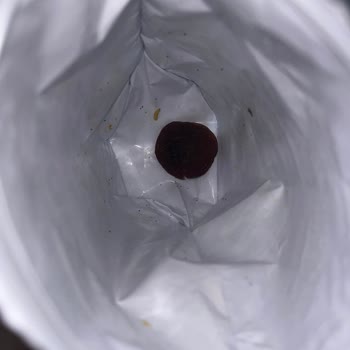 BİM Simbat Kuru Kayısısında Böcek Kontaminasyonu Ve Sağlık Endişesi