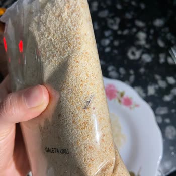 Aydınbey Bakliyat Galeta Ununun İçerisinden İki Adet Ölü Sinek Çıkması