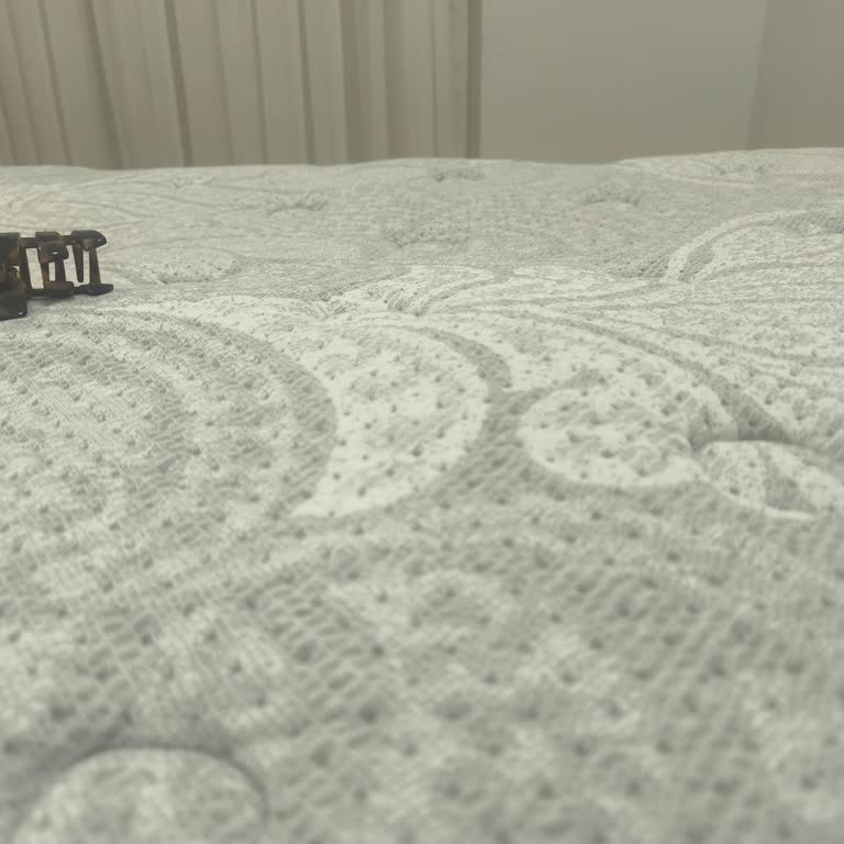 Kalıcı Çökme Ve Şiddetli Bel Ağrısı Nedeniyle İstikbal Quantum Prime Yatak Garanti İadesi Talebi