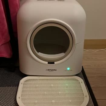Xenon Smart Kedi Tuvaletinde Yaşadığım Koku Sorunu!