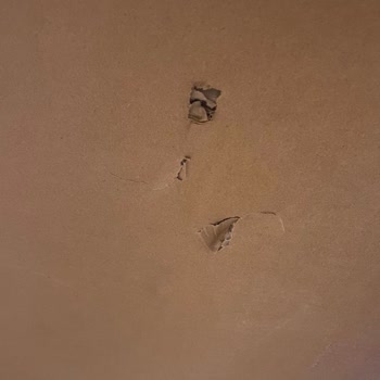 Zara Home’dan Kırık Ayna Ve Geciken İade Şikâyeti