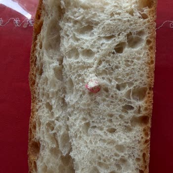 Karadeniz Albaş Fırın Ekmeğin İçinden Çuval Parçası Çıktığını Fark Ettim