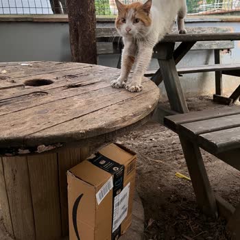 Teslim Edilmemiş Kargo Teslim Edildi Olarak Gösterilmesi Güveni Sarsıyor