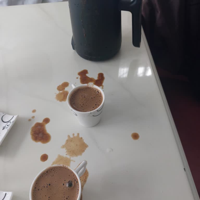 Philips HDE 150/61 Kahve Makinesinde Dökülme Sorunu