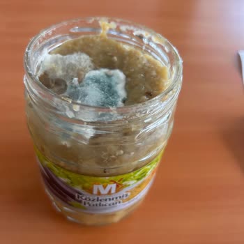 Migros’ta Küflenmiş Patlıcan Ve Gıda Güvenliği Sorunu