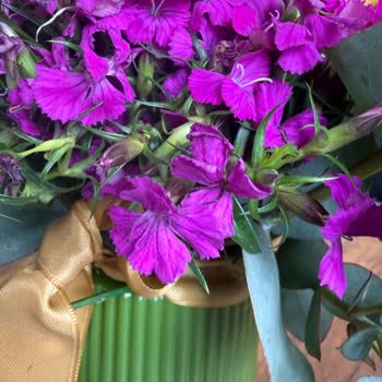 Doğum Günü Çiçeği Solmuş Ve Çözüm Sunulmadı